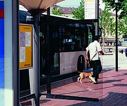 Ein Mann und ein Hund steigen aus dem Bus